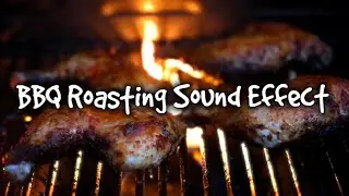 Chicken BBQ Roasting Sound 10 Hours Relaxing Barbecue Noise