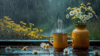 Rainy Afternoon Tea with Piano Melodies| The Perfect Soundscape for Relaxation and Peaceful Sleep