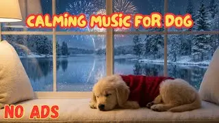 Dog Calming Music for New Year 🎵🐾 Reduce Anxiety & Help Peaceful Sleep 💙💤