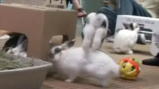 SDHRS Hoppy Hour