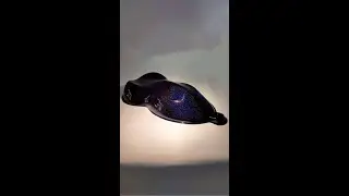 BLACK INTERFERENCE HOLOGR&Aacute;FICO