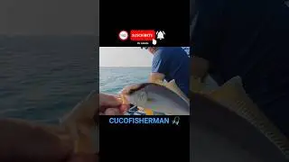 PEZ LIM&Oacute;N, LECHA... A JIGGIN Y SU SUELTA 😎💪🏾🎣