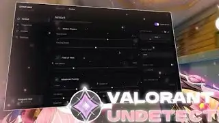 BEST VALORANT EXTERNAL CHEAT IN THE MARKET