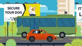 CarSafe Safety Awareness