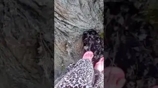 BEH!!!!!!