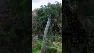 الحسيمة الجميلة بمناظر خلابة 