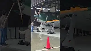 ●俺様（紫電改）の庭‼️○俺様（紫電改）の屋外展示❗（soraかさい　にて）