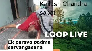 SRI aradhana yoga kendra