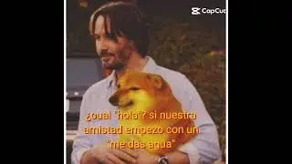 Literal #cheems #cheemsdoge #cheemsmeme