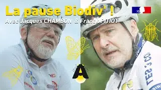 LA PAUSE BIODIV' : VIVE LA BELLE ETOILE ! (Episode 3)