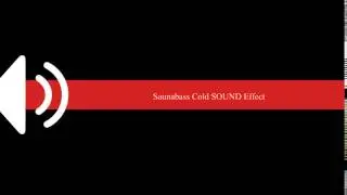 Saunabass Cold SOUND Effect