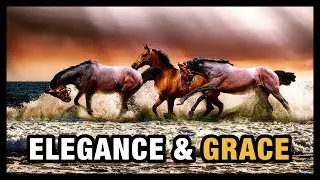 Graceful Orchestral Music - Graceful Motion