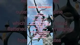 Nurses Dictionary#nursing #shorts #youtubeshorts #nursingofficer #nursingstudent #