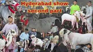All India Pets Expo 2025 Hyderabad Organised by Akram Dairy Farm Part 2 @sohailgoatfarm