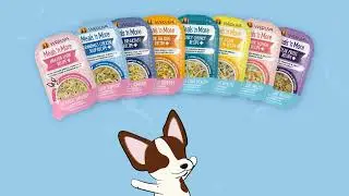 Upgrade Your Pet's Dining Experience with Meals 'n More by Weruva