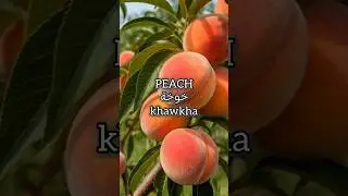 Fruits in Arabic | Arabic Vocabulary Flashcards | Learn Arabic Easily