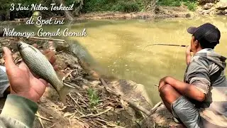 Mancing Nilem BABON Tehnik Nutul Ciri Khas Plat AA #mancingnutul #ikanbesar