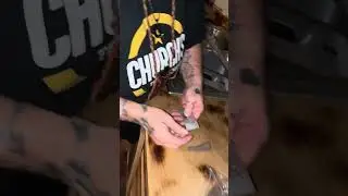 Germinating seeds for DWC BBC