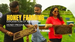 Inside the Honey Farm at Nandi Hills Near Bengaluru | A Exploration of Natural Honey Production