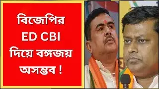 Mamata Banerjee : বিজেপির ED CBI দিয়ে বঙ্গ জয় অসম্ভব | What News Bangla |