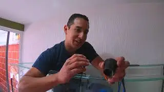 Íbamos por unas conecciónes y terminamos arreglando todo el acuario!! 😅