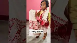 gi tag of assam || gamusa || gi tag gamusa || #gitag #gamusa #assam m