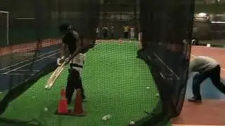 Cricket In Edmonton