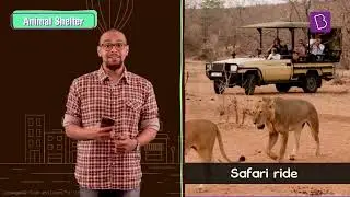 Habitats ll #study #basic #earlyeducation #trending 
