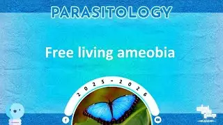 L1: Naegleria fowleri and acanth amoeba spp (free living amoebae); Parasitology