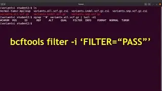 bcftools filter | Filtering variants using the FILTER field