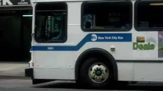 The M23 Bus