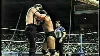 WWC: The Barbarian vs. Giant Warrior