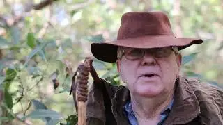 THE TEAMS written by Henry Lawson and performed by Howard Kennedy