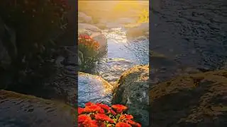 FRONT YARD WATERFALL! #backyard #landscapebuild #diy #garden#waterfall #aquascape #timelapse
