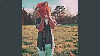 Where The Wild Things Are