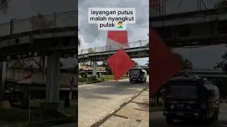Layangan putus #layanganputus #layangan #viral #trending #fyp