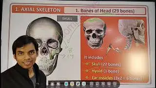 Human Skeleton System — Competitive Notes Bones • Functions • Easy Revision by Srikant Sir