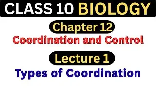 Types of Coordination | Lecture 1 | Class 10 Biology Chapter 12