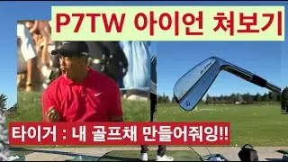 테일러메이드 P7TW 타이거 우즈가 쓰는 아이언, 제가 한번 쳐보겠습니다