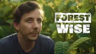 SYSTEMIQ | Forestwise: Regenerative Forest Products in Indonesia