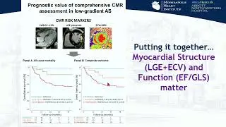 Sponsored Symposium | Pushing beyond today's frontiers in CT analysis