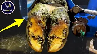 What did we find in this cow&rsquo;s hoof?