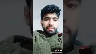 sardi tea