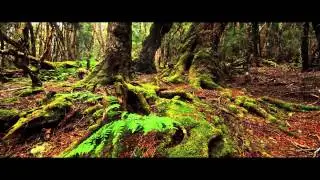 Tarkine In Motion Project