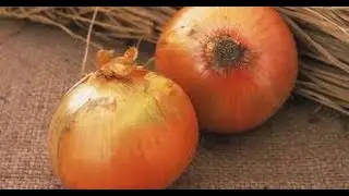 Onion Side Effects & Safety