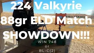 224 Valkyrie POWDER Showdown!!!  BL-C(2) or WIN 748 ???