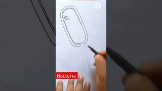 Bacteria diagram easy #shorts sh#youtubeshorts #viral #biology #drawing #viralvideo #best #draw