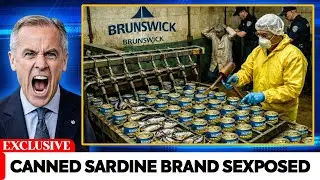 10 Canned Sardine Brands From Canada That MUST Be Avoided (And 3 That Are Good)