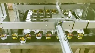 tomato sauce cup filling sealing machine 6 lanes ketchup filler sealer equipment | relleno de tazas