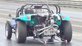 #335 (BIAC) Hilo Bug In VII July 2019